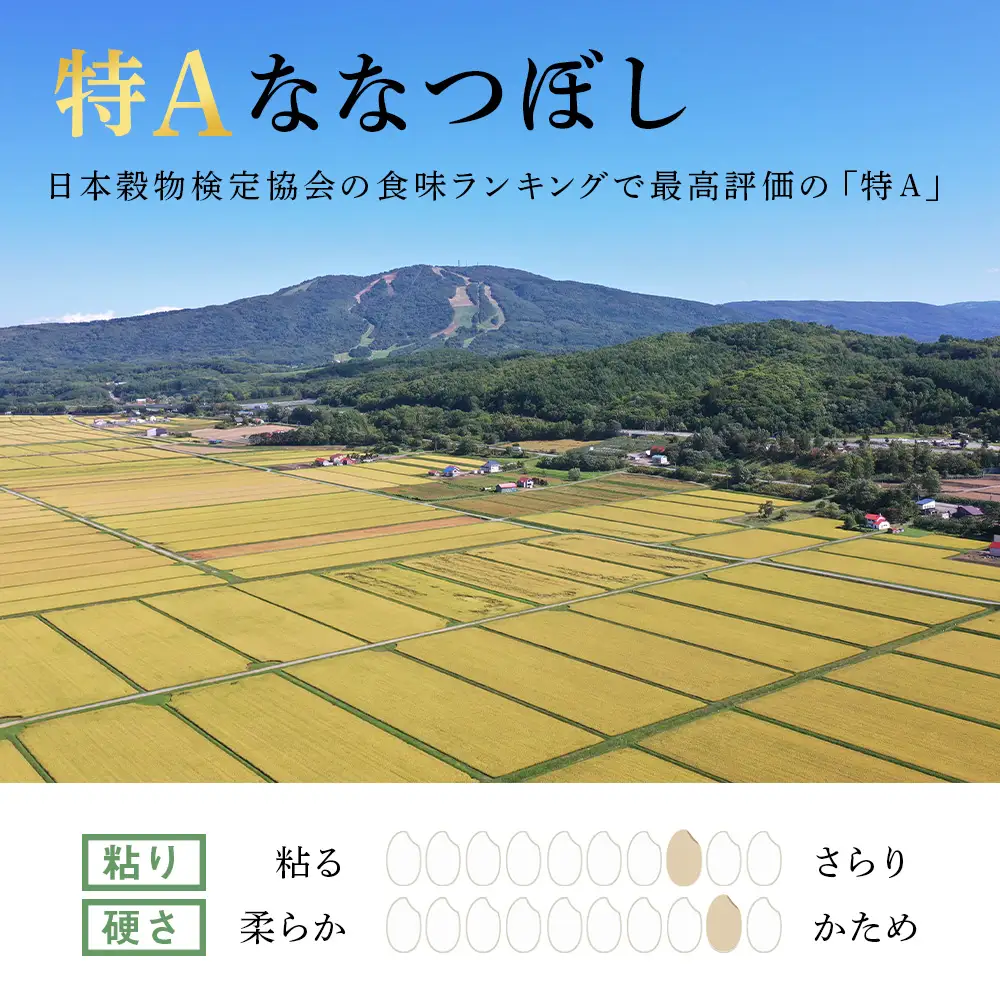 《令和7年産》北海道産ななつぼし 5kg(通常パック5kg×1袋)