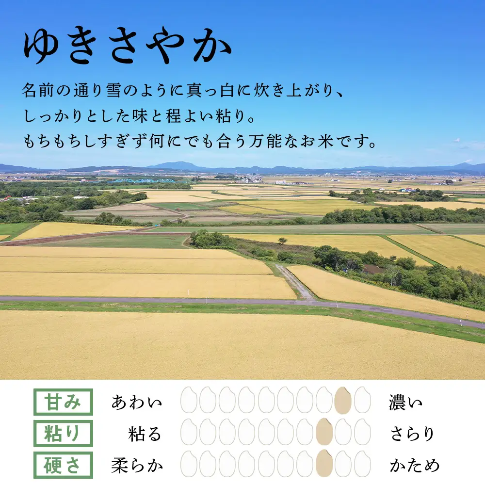 《令和7年産》北海道産ゆきさやか10kg(通常パック5kg×2袋)