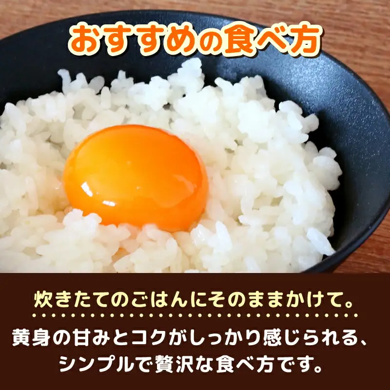 【卵 6回定期便】土佐ジローの卵 30個入 高知県 南国市