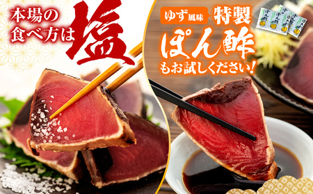 【かつおのたたき】高知県 かつおのたたき 1.2kg 鰹【CE003】 [1234]