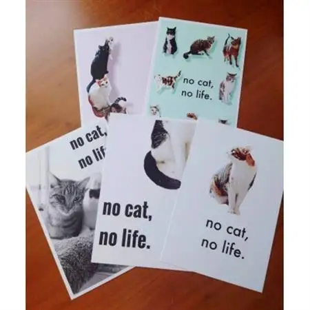 保護猫へのご支援品【保護猫ルームえびす】手作り小物セット(がま口・アクリルたわし)ポストカード付【1647218】