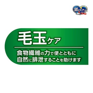 銀のスプーン 三ツ星グルメ しみ旨 お魚仕立て 毛玉ケア 192g×14箱 ペットフード