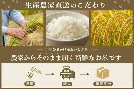 【2010年から連続特A受賞米】佐賀県基山町の米・令和7年産 さがびより(精米)10kg〈生産者直送〉 K094002
