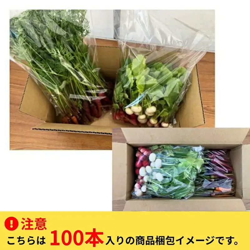 長野県佐久市産『ミニ野菜(根菜類)100本セット』（北海道・沖縄・離島は配送不可） 高原野菜 産地直送 新鮮 旬彩 減農薬 減化学肥料 信州 おまかせ【 長野県 佐久市 】