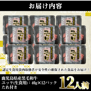 i1211-B 鹿児島県産黒毛和牛ユッケ12人前(40g×12P・計480g) 肉 牛肉 黒毛和牛 国産 鹿児島県産 ユッケ 生食 旨み 480g 12人 【株式会社LRプラスK】