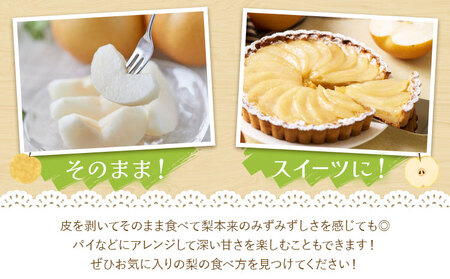 【先行予約】梨 訳あり梨 約4kg-4.5kg(10-18玉) 《2026年8月下旬-10月下旬頃出荷》 株式会社Foody’s なし 和梨 フルーツ 果物 ご家庭用 不揃い キズあり 菊池市産 熊本県産 九州産