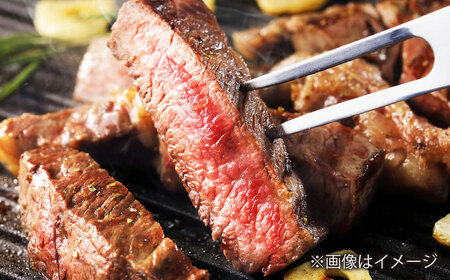 【2回定期便】長崎和牛 ロースステーキ ハーフ600g 佐世保エスディー食品 [DBW052] ステーキ 牛