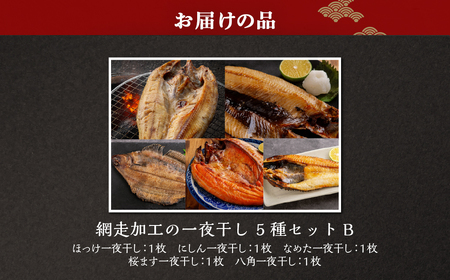 網走加工の一夜干しセット 5種B ABB173