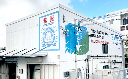 自然の名水 ぬちぐ水 500ml 24本 水 飲料水 ミネラルウォーター 防災 キャンプ 備蓄 / トゥワァイス[BCEJ001]