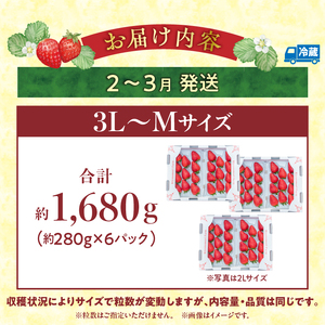 【2027年2月～3月発送】完熟「古都華」奈良ブランドいちご3L～Mサイズ6パック　先行予約 ことか 甘い 糖度 濃い 濃厚 果汁 香り 朝摘み いちご イチゴ 苺 フルーツ 果物 くだもの ご褒美 ごほうび 贈答 贈り物 ギフト プレゼント 冷蔵 奈良県 生駒市 送料無料