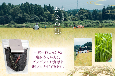 古代米 令和7年産 石川県産 黒米 200g x 2袋 計400g 国産 無農薬 [農事組合法人かさの郷 石川県 津幡町 tb17bgj610000] 
