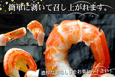 【北海道根室産】北海シマエビ800g(80～130尾) A-07012