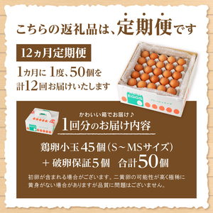 【12ヶ月定期便】水の恵み小卵　たまご S?MSサイズ 45個 破卵保証5個 計50個 鶏卵 小玉 山梨県 北杜市産 卵 [h081]