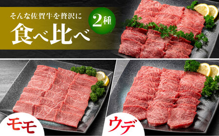 佐賀牛 焼肉セット C モモ ウデ 約500g 【JAさが 杵島支所】[HAM093]