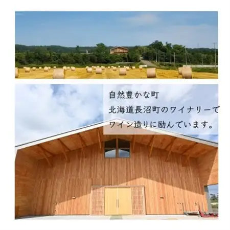 MARO Wines 微発泡ワイン 白とロゼ 2本セット【配送不可地域：離島】【1628415】