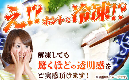 【お中元】剣先イカ 刺身用 500g [JCC024] イカ刺し