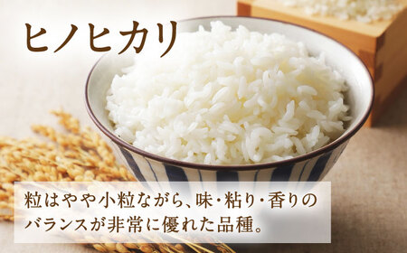  ヒノヒカリ 白米 6kg（1kg×6袋） 【株式会社 岩下農園】[ZFS001]