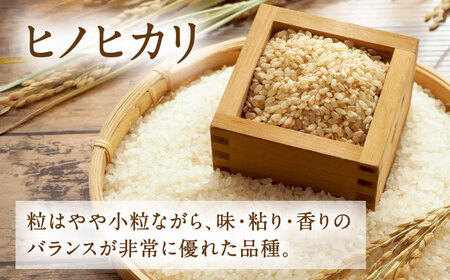  ヒノヒカリ 玄米 5kg（5kg×1袋） 【株式会社 岩下農園】[ZFS006]