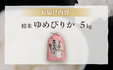 北海道 豊浦 令和7年度産 精米 ゆめぴりか 5kg 
