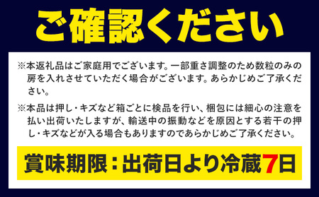 【先行予約】ぶどう ご家庭用 旬 の ぶどう 2種セット おまかせ2種 合計約2kg たけまさぶどう園 《8月中旬-10月中旬頃出荷》岡山県 浅口市 フルーツ デザート おやつ マスカット ぶどう 果物 国産 【配送不可地域あり】（離島）