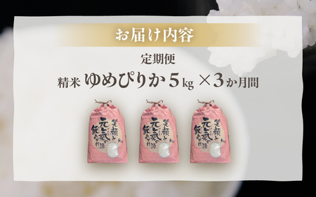 ■3ヵ月連続お届け　【定期便 3回】 北海道 豊浦 令和7年度産 精米 ゆめぴりか 5kg