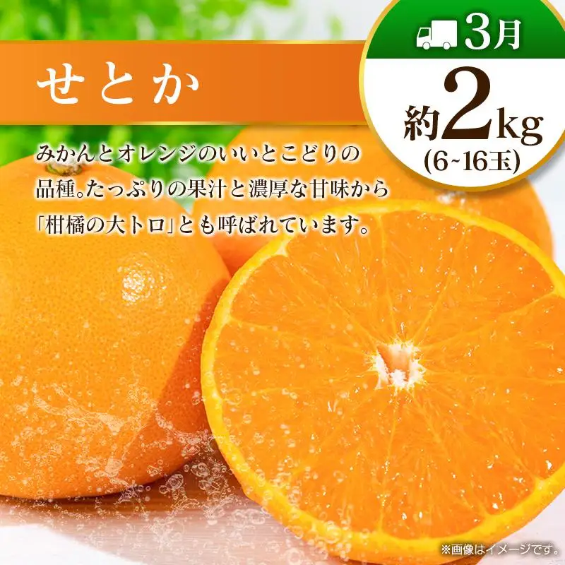 【奇数月 6回定期便】旬 人気 フルーツ 南国宮崎産 太陽のタマゴ ピオーネ いちご みかん メロン マンゴー 柑橘 ぶどう 果物 詰め合わせ 宮崎県 九州＜A-1コース M110＞