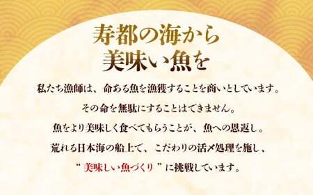 国産いくらの醤油漬け 約600g いくら イクラ 鮭 さけ シロサケ卵 魚卵 魚介類 水産物 しょうゆ 北海道産 蘭越町 冷凍