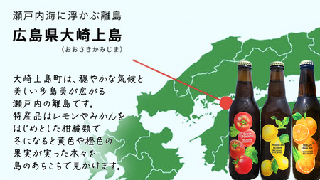 大崎上島 の クラフトビール 3種 各1本