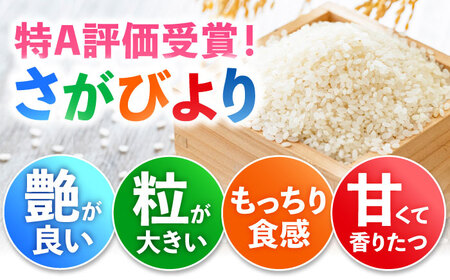 【全3回定期便】特A獲得！さがびより 白米 6kg　総計18kg 吉野ヶ里町/大塚米穀店[FCW034]