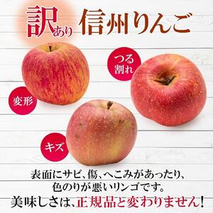 ＜26年10月頃～発送 先行予約＞長野県産 りんご 秋映 訳あり 約3kg リンゴ 旬 フルーツ 訳アリ 林檎 果物 規格外 自家用 産地直送 農園 産直 お取り寄せ もぎたて 採れたて 送料無料 堀田農園 信州 大町市