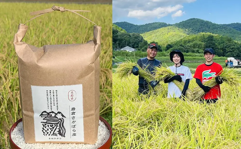 【京都岩倉坂原米作りプロジェクト】京都さかばら 角質ケアハンドクリーム(60g×1本)｜美容 コスメ 人気［ 京都 人気 おすすめ 米 コメ ギフト プレゼント 贈答 お取り寄せ 通販 送料無料 ふるさと納税 ］