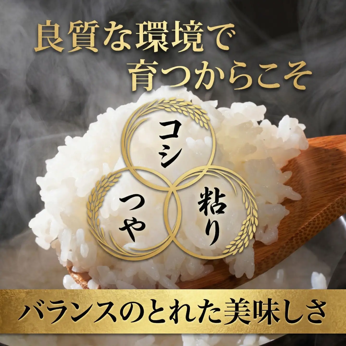 スピード発送!! （最短2日~7日程度で発送） 茨城県 筑西市産 にじのきらめき 5kg ( 障がい者アート パッケージ )