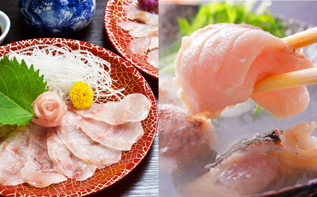 《定期便》よかクエ食べ尽くしコース【6回お届け】