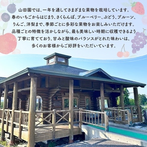 北海道 仁木町産 あかね りんごジュース 720ml×2本　[ ジュース りんご リンゴ 林檎ジュース フレッシュ ]