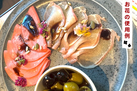 農家直送！加藤さんちのエディブルフラワー 15パック (1パックあたり季節のお花15輪から30輪) [0766]