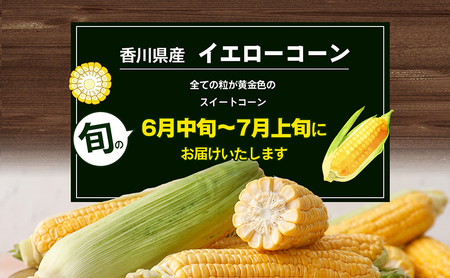 イエローコーン 約3kg 野菜 とうもろこし 野菜セット 