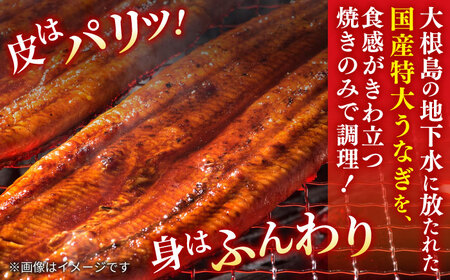 【12回定期便】うなぎ老舗専門店のパリっとふっくら国産うなぎ 蒲焼カット4食セット(蒲焼のタレ付き) 島根県松江市/株式会社山美世商会[ALDC021]
