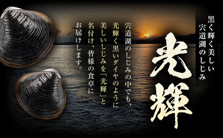【全12回定期便】産地直送！宍道湖産 冷凍大和しじみLサイズ4kg(500g×8) 砂抜き処理済 島根県松江市/りすたむmatsue[ALDE018]