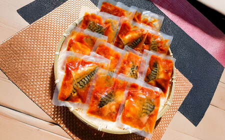【寄附額改定】和風 魚 16パック 冷凍 惣菜 サバ  ＼ 惣菜 ／ [ALHZ001] 味噌煮