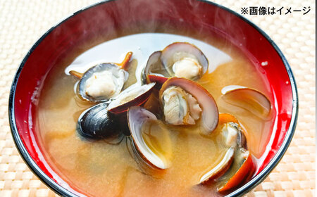 濃厚な旨み！宍道湖産冷凍シジミ3kg　島根県松江市/株式会社山光食品[ALHZ003]