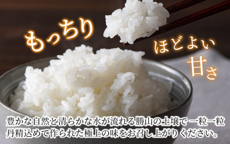 勝山産コシヒカリ ちゃまごん米 精米 5kg [A-010004]