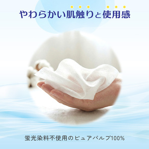 エルモア 水に流せるティシュー 60箱 5個×12パック ティッシュ ティッシュペーパー ボックスティッシュ 日用品 消耗品 備蓄 防災 愛媛県 四国中央市