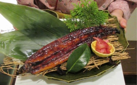 土佐の鰹タタキ片身とうなぎ蒲焼きセット
