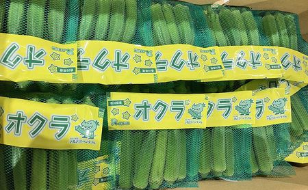 オクラ 約3kgバラ 野菜