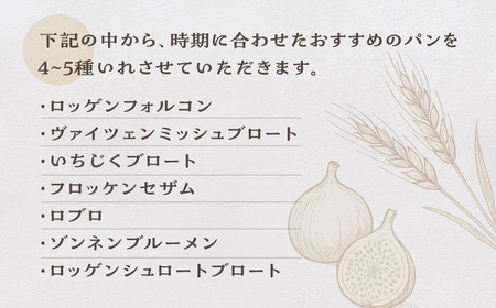 ドイツパンセット 国産 ライ麦 ハード ドイツパン