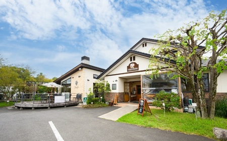 プロポリスエキス 10cc×5本セット 黒田養蜂園 健康補助食品