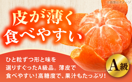 【先行予約】＜サイズおまかせ＞高知県産温州みかんA級品 約5kg ＜2026年11月上旬～2026年12月下旬頃発送＞ / みかん 柑橘 オレンジ 高知県 温州 【株式会社にしごみ】[ATEA009]