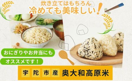 【定期便6回】特別栽培米 ＜令和7年産 白米 17kg＞ / ふるさと納税 栽培期間中農薬不使用 米 お米 こめ コメ 国産 新米 玄米 農家やまおか 奈良県 宇陀市
