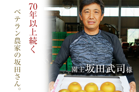 『坂田農園』の玉東梨 期間限定 予約受付中 約3kg《8月中旬-9月末頃出荷》 熊本県玉名郡玉東町産『坂田農園』｜ブランド梨 人気梨 特産品梨 熊本県梨 玉東町梨 大人気返礼品