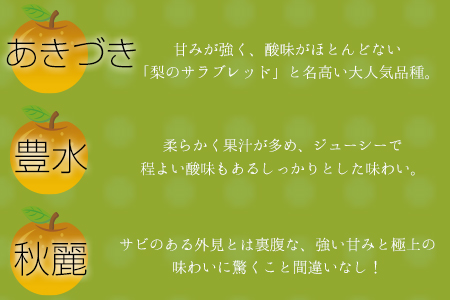梨 さかもと果樹園 約3kg 3玉-10玉前後 期間限定 玉東梨